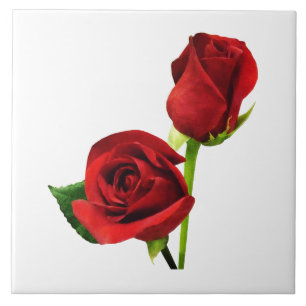 Two Red Roses Ceramic Tile