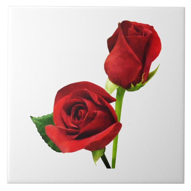 Two Red Roses Ceramic Tile (Front)