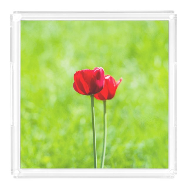 Two red tulip flowers acrylic tray (Large)