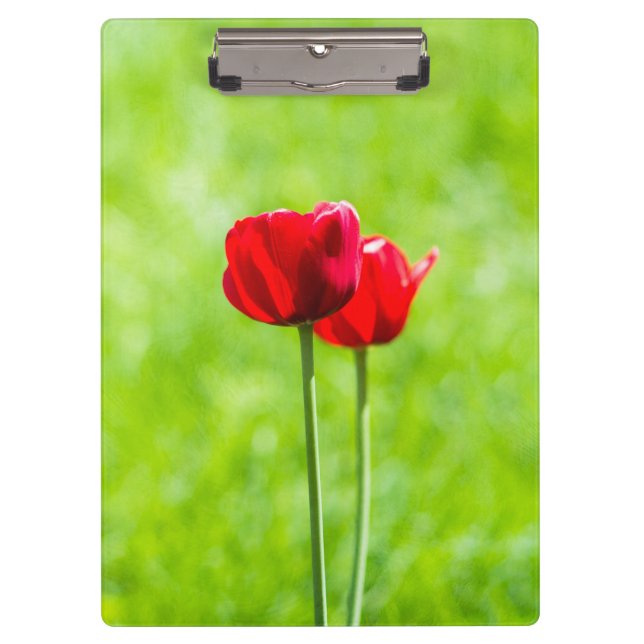 Two red tulip flowers clipboard (Front)