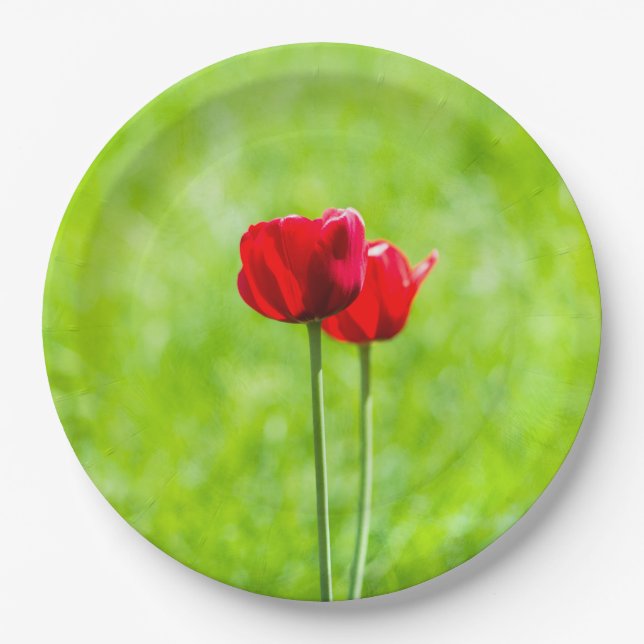 Two red tulip flowers paper plates (Front)