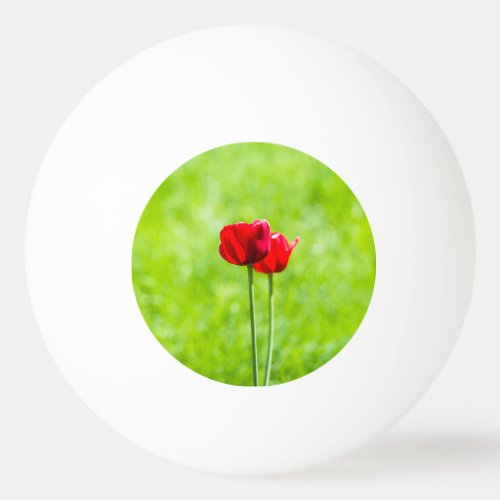 Two red tulip flowers ping pong ball