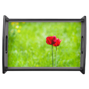 Two red tulip flowers serving tray