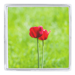 Two red tulip flowers silver finish lapel pin