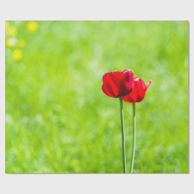Two red tulip flowers wrapping paper (Flat)