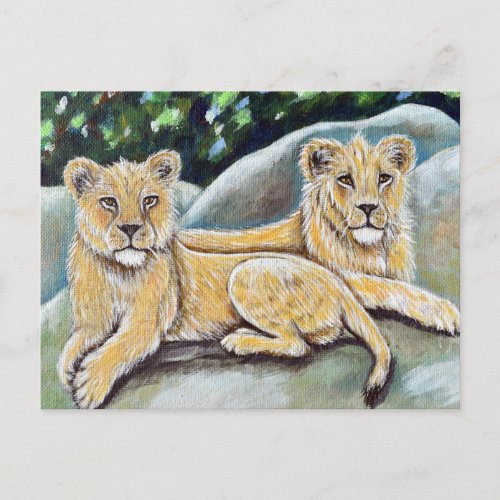 Two Regal Lions Painting Postcard