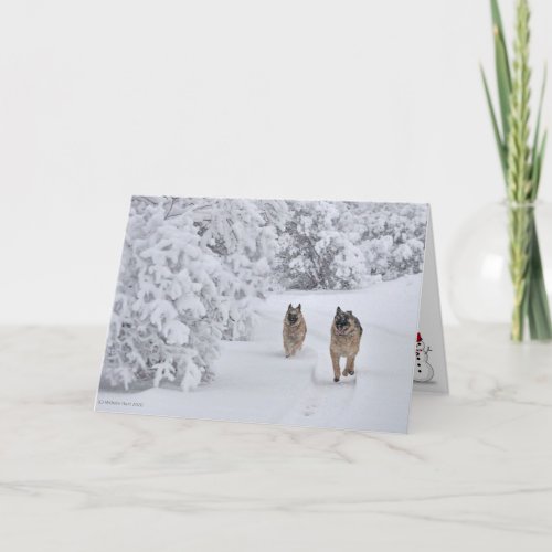 Two Rescue German Shepherd Dogs Running in Snow Card