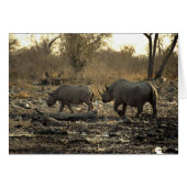 Two rhinos (Front Horizontal)