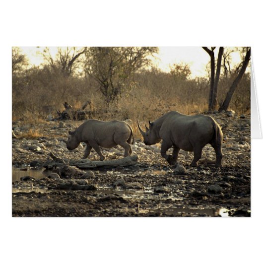 Two rhinos cards (Front Horizontal)