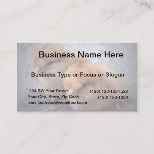 Customizable two rhode island red chicks photo vignette business card template