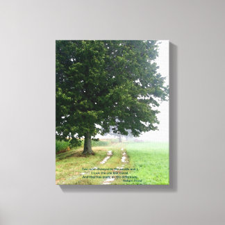 Two Roads Diverged Canvas Print