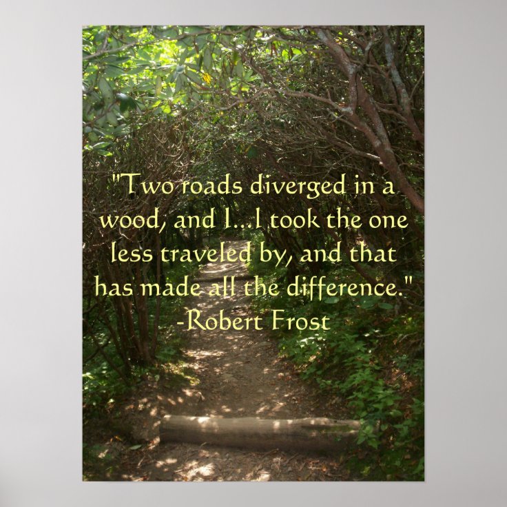 Two roads diverged in a wood Poster Zazzle