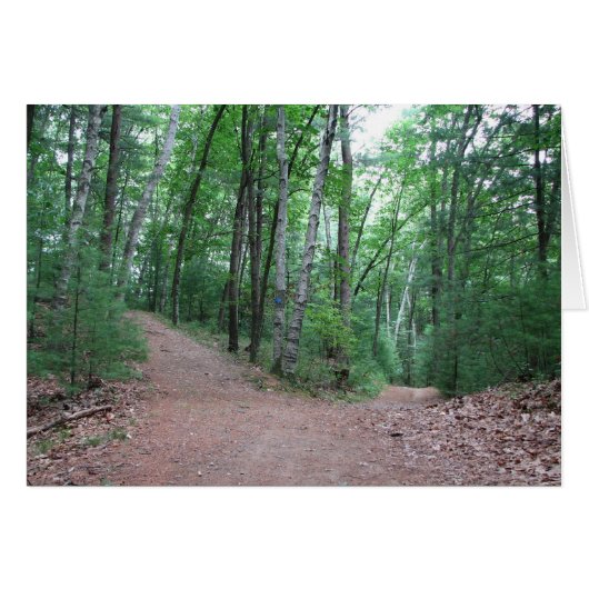 Two Roads Diverged In A Yellow Wood (Front Horizontal)