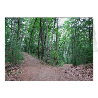 Two Roads Diverged In A Yellow Wood Cards