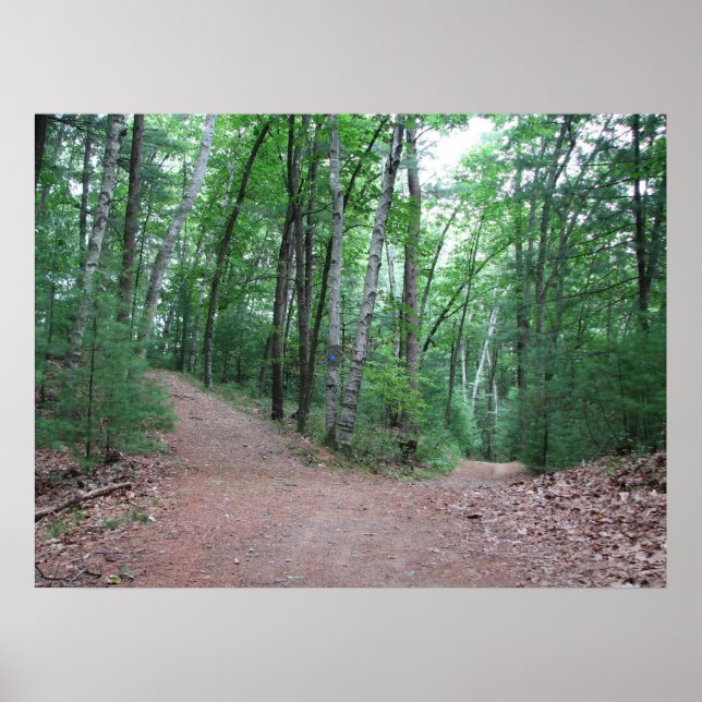 Two Roads Diverged In A Yellow Wood Poster (Front)