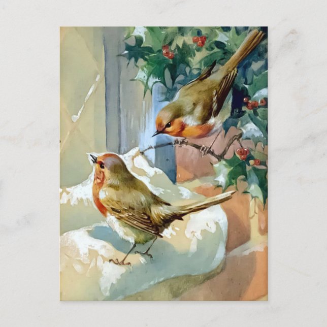 Two Robins On Snow Covered Holly Holiday Postcard (Front)