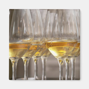 two rows of wine tasting glasses with lucious magnet
