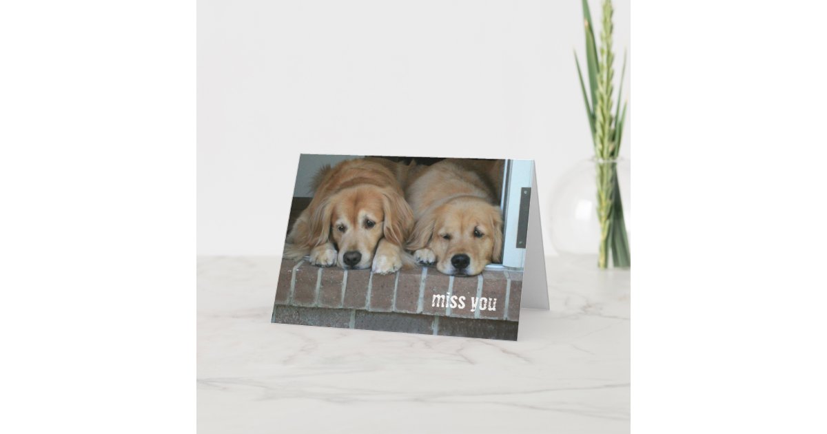 Two Sad Golden Retriever Dogs Miss You Card | Zazzle