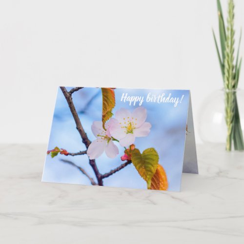 Two Sakura Flowers Of Pale Pink Color In Spring Card