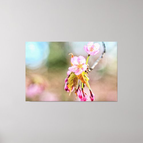 Two Sakura Flowers On A Tip Of A Twig In Spring Canvas Print