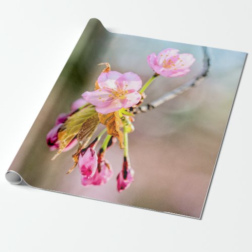 Two Sakura Flowers On A Tip Of A Twig Wrapping Paper