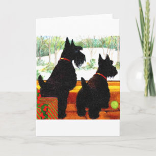 Two Scottie Dogs At Christmas Holiday Card