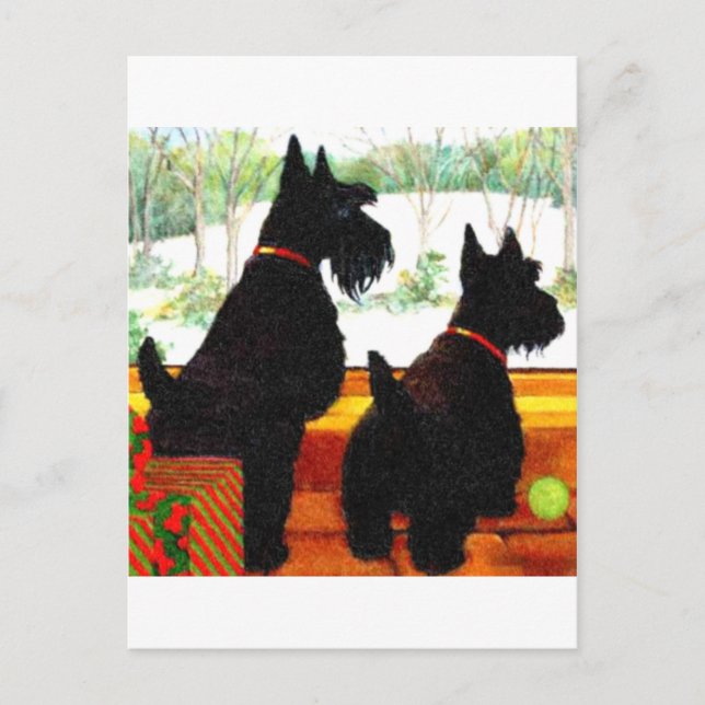 Two Scottie Dogs At Christmas Holiday Postcard (Front)