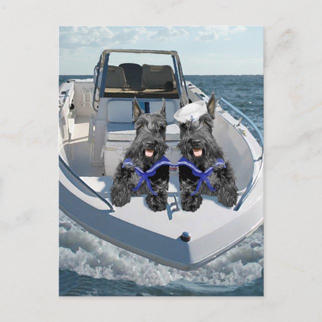 Two Scotties out on the Boat Postcard (Front)