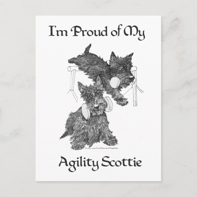 Two Scottish Terriers Agility Postcard (Front)