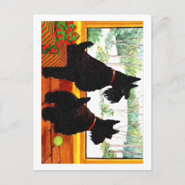 Two Scotty Dogs at Christmas Holiday Postcard (Front)