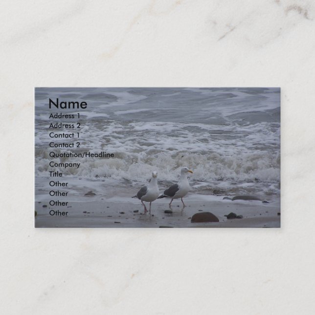 Two Seagulls Business Card (Front)