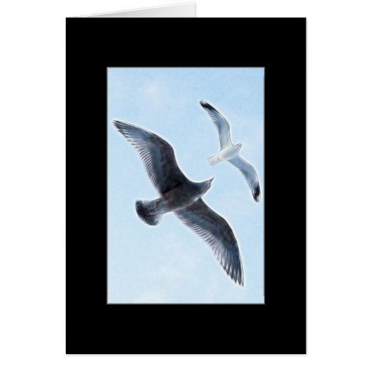 Two Seagulls Cards (Front)