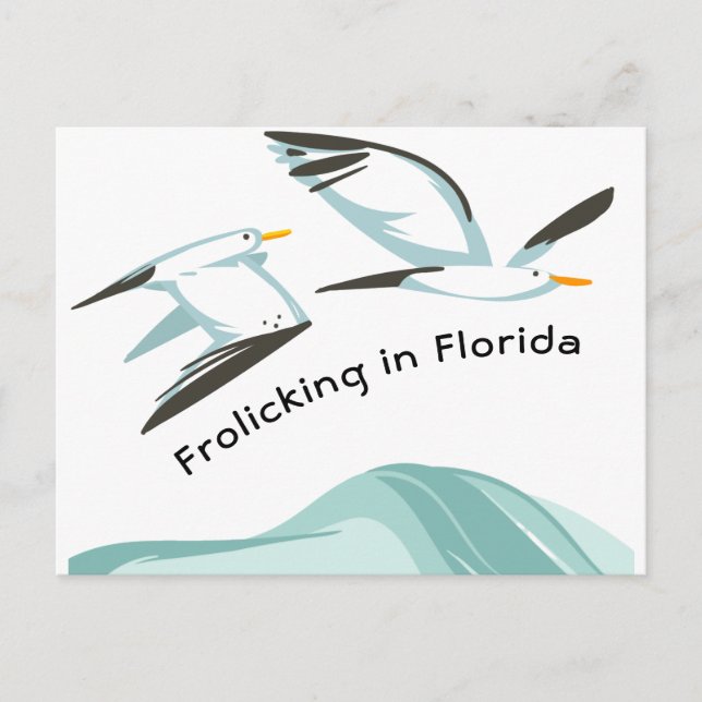 Two Seagulls Frolicking in Florida New Address Announcement Postcard (Front)