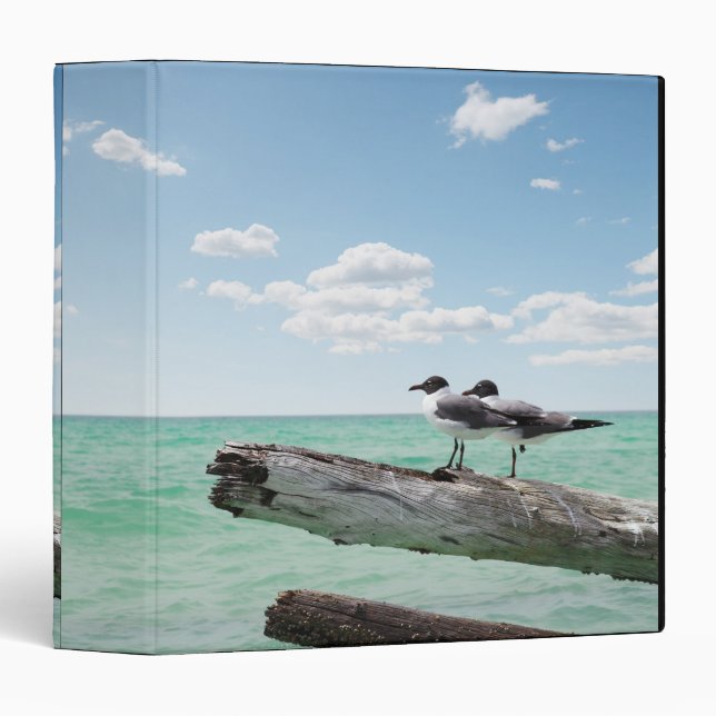 Two seagulls sitting on a dead tree sticking out binder (Front/Spine)