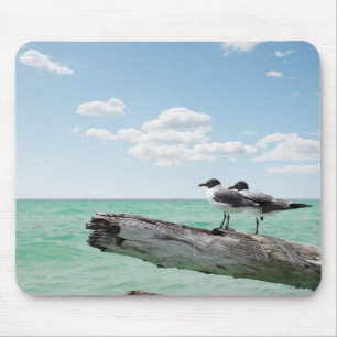 Two seagulls sitting on a dead tree sticking out mouse pad