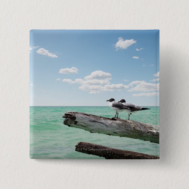Two seagulls sitting on a dead tree sticking out pinback button (Front)