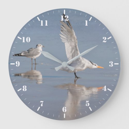 Two seagulls with their reflections large clock