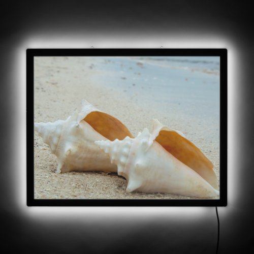 Two Seashells on the Ocean Beach  LED Sign