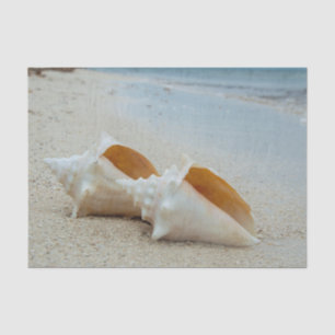 Two Seashells on the Ocean Beach Tissue Paper