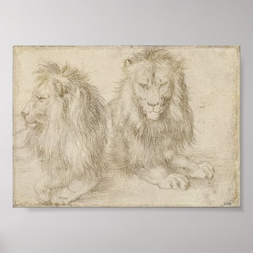 Two Seated Lions by Albrecht Durer Poster