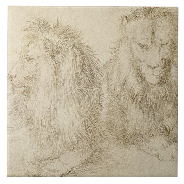 Two Seated Lions (Wild Animals) (Albrecht Durer) Ceramic Tile (Front)