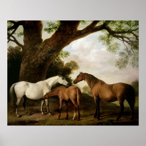 Two Shafto Mares and a Foal 1774 Poster