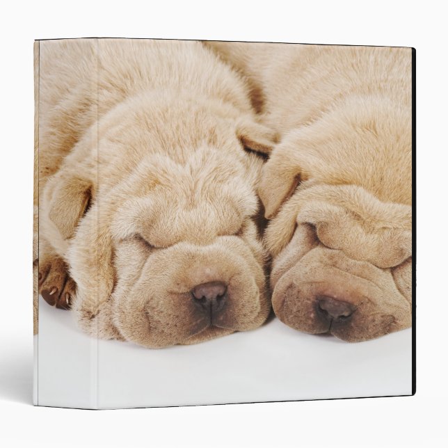 Two Shar Pei puppies sleeping Binder (Front/Spine)