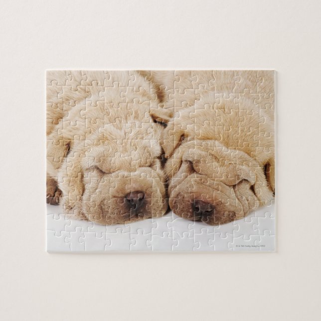 Two Shar Pei puppies sleeping Jigsaw Puzzle (Horizontal)