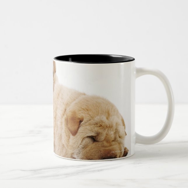 Two Shar Pei puppies sleeping, studio shot Two-Tone Coffee Mug (Right)