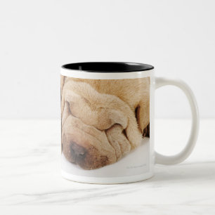 Two Shar Pei puppies sleeping Two-Tone Coffee Mug