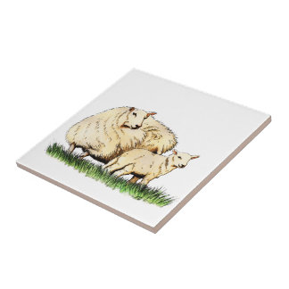 two sheep animal tile
