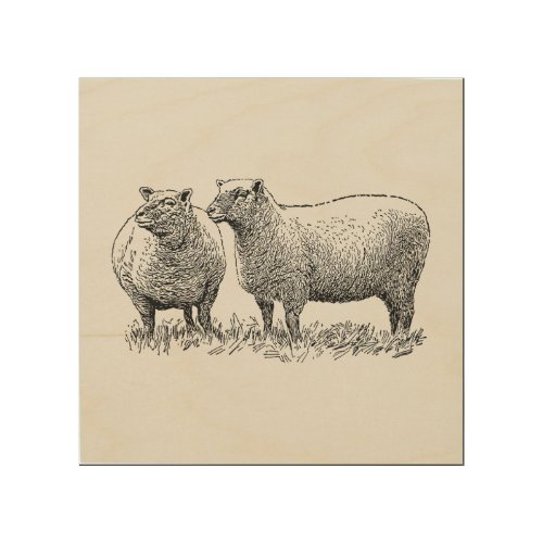 Two Sheep Illustrated Art