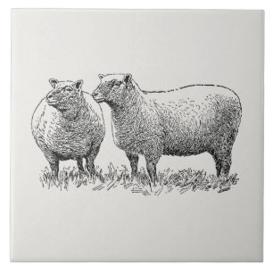 Two Sheep Illustrated Art Ceramic Tile