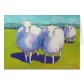 Two Sheep In Field Cards (Front Horizontal)